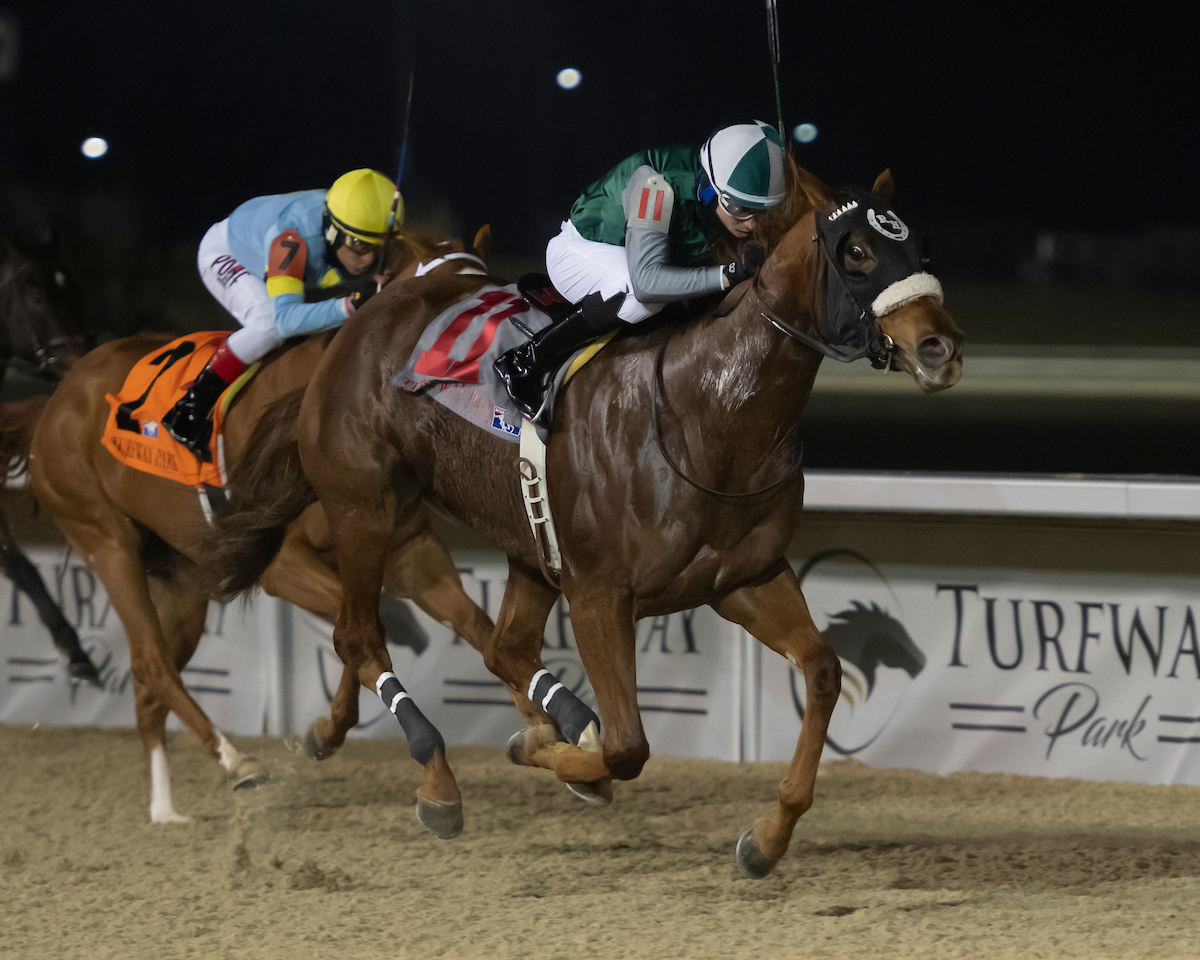 1/ST BET AI Picks Turfway Park Full Card Wednesday, December 27